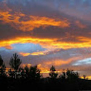 Meet your Posher, Henry